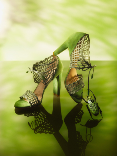 Shoes3